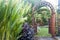 Wooden arbor with gate in garden. Wooden arched entrance to the backyard.