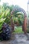 Wooden arbor with gate in garden. Wooden arched entrance to the backyard.
