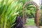 Wooden arbor with gate in garden. Wooden arched entrance to the backyard.