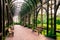 Wooden arcade outdoor pergola with park benches with green climbing plants.