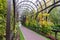 Wooden arched pergola in autumn park