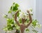 wooden articulated doll hands at the top, dance element, on a background of greenery. Natural ecological things for decoration