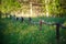 Wooden authentic homemade fence made of branches in high grass with wild flowers.