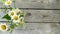 Wooden background with camomiles with place for text. Field daisies in a glass vase against the background of boards