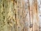 Wooden background. Close up of tree wood showing patterns made by bark beetles and bugs. Damage done by bark beetle