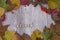 Wooden background with colorful fall leaves arrangement. autumn background, inscription October