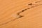 Wooden background crack