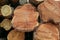 Wooden background dark brown stack of logs close up pattern