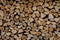 Wooden background. Firewood drying for the winter, stacks of firewood