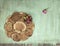 Wooden background with little pink roses. Grunge mockup. Green old painted texture.