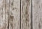 Wooden background. Old natural wooden shabby background
