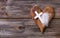 Wooden background with olive heart and white cross for an obituary notice.