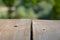 Wooden background place for text, information and green blurred area