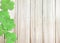 Wooden Background Texture with Green Shamrocks clover leaf at left side for St. Patrick`s Day