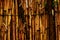 Wooden Bamboo texture