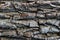 Wooden bark natural weathered pattern with deep cavities horizontal, gray texture