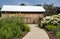 A Wooden Barn at the End of a Path Surrounding by Sunflowers and White Hydrangea