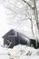 Wooden barn under trees in snow during snowfall.