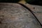 Wooden barrel close up, old porto lodge with rows of oak wooden casks for slow aging of fortified ruby or tawny porto wine in Vila