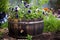 wooden barrel repurposed as a flower planter