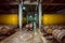 Wooden barrels and metal cistern with wine inside old cellar of Kindzmarauli Corporation Wine House