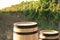 Wooden barrels standing in vineyard