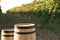 Wooden barrels standing in vineyard on sunny day