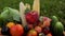 Wooden basket box or crate with different vegetables, fruits after harvesting