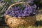 A wooden basket full of fragrant bouquets of lavender.