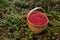 Wooden basket full of ripe red Lingonberries, Vaccinium vitis-idaea