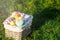 Wooden basket with orange, yellow and green eggs lies on spring green grass at sunlight. Happy Easter! Decoration, egg hunt