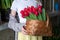 Wooden basket with red tulips in the hands of a woman