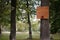 Wooden basketball backboard in a park on a tree.