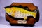 Wooden Bass Fish Trophy