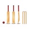 The wooden bat, wicket, the ball for the game of cricket, realistic 3D vector models with wooden texture of objects isolated on