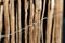 Wooden Battens of a fence