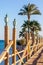 Wooden beach bridge with palm trees at sea