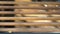 Wooden beam panning. Wood planks vertical panoramic. Background of jalousie.
