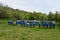 Wooden bee hives on green grass