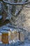 Wooden bee hives in winter - bee breeding Apis mellifera in beautiful winter sunny day