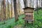 Wooden Beehive