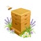 Wooden beehive and flying bee in  flowering meadow. Vector illustration of house for bees in green grass and wild flowers.