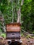 Wooden beehive in the forest with bees