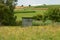 A wooden beehive stands in a high flower meadow in front of a green landscape