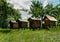 wooden beehives