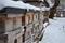 Wooden beehives in a snow shower. Snow falls on wooden beehives of domestic production. hidden bees, however, know nothing. Autumn