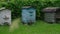 Wooden beehives stand on green meadow grass at bushes