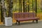 Wooden bench in autumn city park among birches near asphalt path.