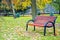 Wooden bench in an autumn park