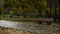 Wooden bench in the autumn park in the rain